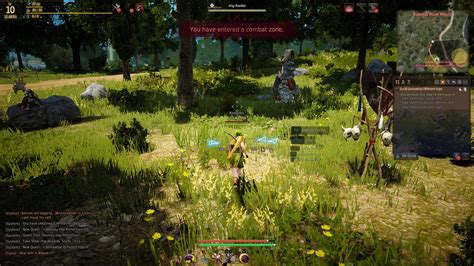 black desert mobile private server